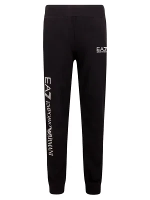 EA7 Spodnie dresowe | Regular Fit