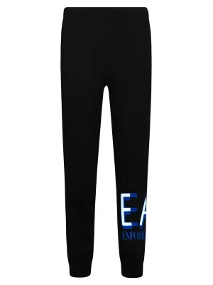 EA7 Spodnie dresowe | Regular Fit