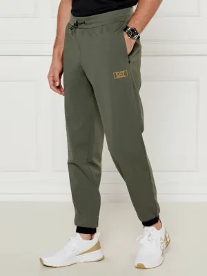 EA7 Spodnie dresowe | Regular Fit