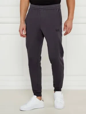 EA7 Spodnie dresowe | Regular Fit