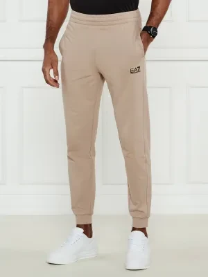 EA7 Spodnie dresowe | Regular Fit