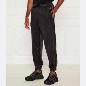 EA7 Spodnie dresowe | Regular Fit