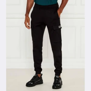EA7 Spodnie dresowe | Regular Fit