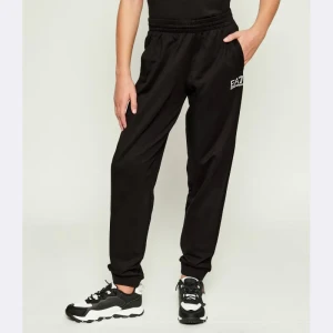 EA7 Spodnie dresowe | Regular Fit