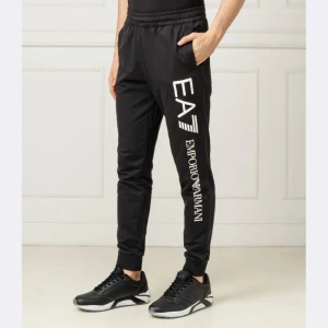 EA7 Spodnie dresowe | Regular Fit