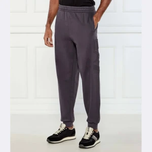 EA7 Spodnie dresowe | Regular Fit