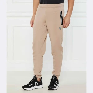 EA7 Spodnie dresowe | Regular Fit
