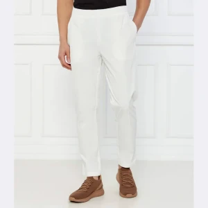 EA7 Spodnie dresowe | Regular Fit