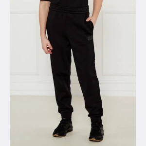 EA7 Spodnie dresowe | Regular Fit