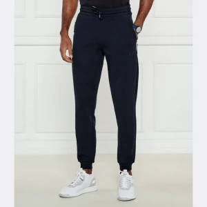 EA7 Spodnie dresowe | Regular Fit