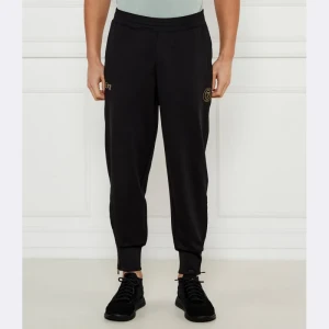 EA7 Spodnie dresowe | Regular Fit
