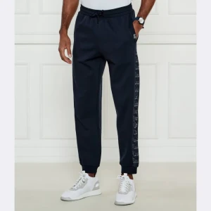 EA7 Spodnie dresowe | Regular Fit