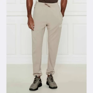 EA7 Spodnie dresowe | Regular Fit