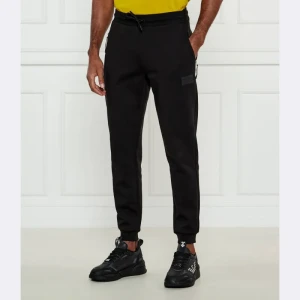 EA7 Spodnie dresowe | Regular Fit