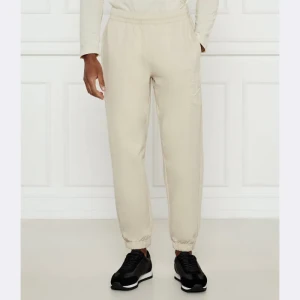 EA7 Spodnie dresowe | Regular Fit