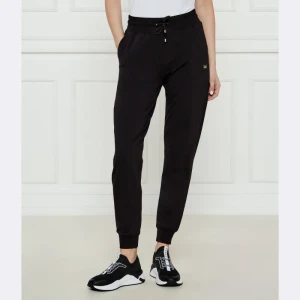 EA7 Spodnie dresowe | Regular Fit