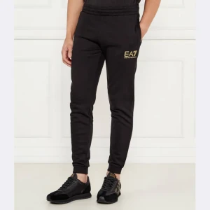 EA7 Spodnie dresowe | Regular Fit