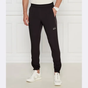 EA7 Spodnie dresowe | Regular Fit