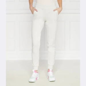 EA7 Spodnie dresowe | Regular Fit