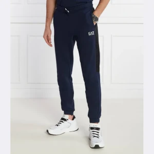EA7 Spodnie dresowe | Regular Fit
