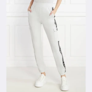 EA7 Spodnie dresowe | Regular Fit