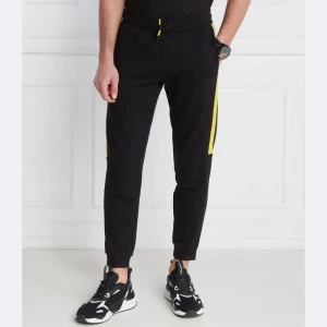 EA7 Spodnie dresowe | Regular Fit