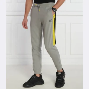 EA7 Spodnie dresowe | Regular Fit