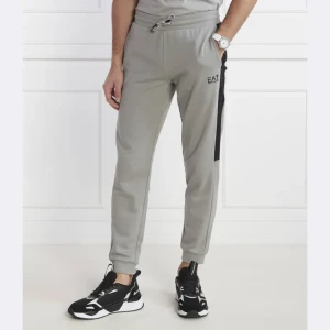 EA7 Spodnie dresowe | Regular Fit