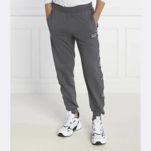 EA7 Spodnie dresowe | Regular Fit