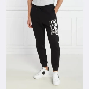 EA7 Spodnie dresowe | Regular Fit