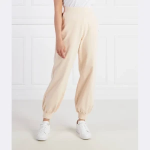 EA7 Spodnie dresowe | Regular Fit