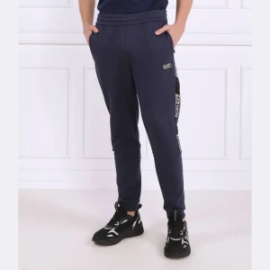 EA7 Spodnie dresowe | Regular Fit