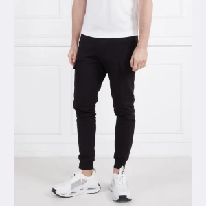 EA7 Spodnie dresowe | Regular Fit