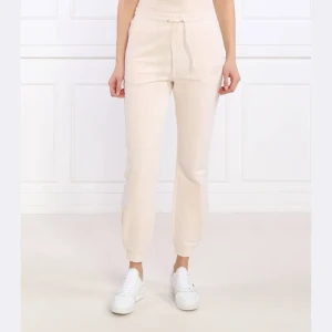 EA7 Spodnie dresowe | Regular Fit
