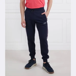 EA7 Spodnie dresowe | Regular Fit