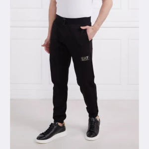 EA7 Spodnie dresowe | Regular Fit