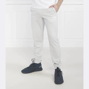 EA7 Spodnie dresowe | Regular Fit