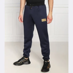 EA7 Spodnie dresowe | Regular Fit