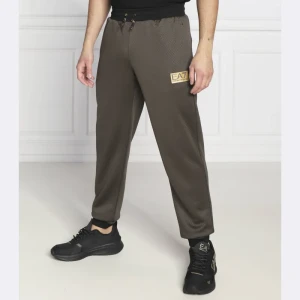 EA7 Spodnie dresowe | Regular Fit