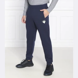 EA7 Spodnie dresowe | Regular Fit