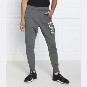EA7 Spodnie dresowe | Regular Fit