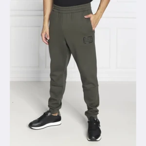 EA7 Spodnie dresowe | Regular Fit