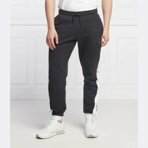 EA7 Spodnie dresowe | Regular Fit