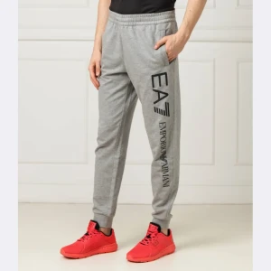 EA7 Spodnie dresowe | Regular Fit