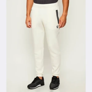 EA7 Spodnie dresowe | Regular Fit