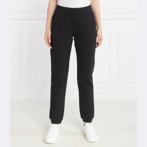 EA7 Spodnie dresowe | Regular Fit