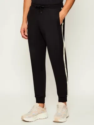 EA7 Spodnie dresowe | Regular Fit