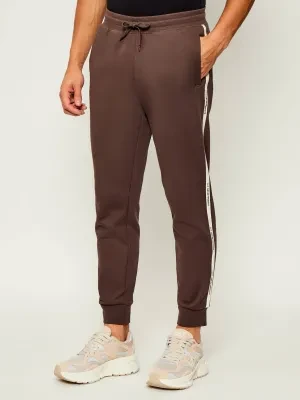EA7 Spodnie dresowe | Regular Fit