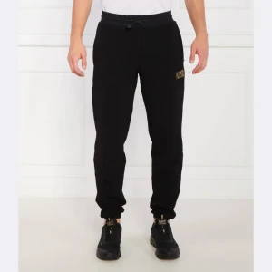 EA7 Spodnie dresowe | Regular Fit