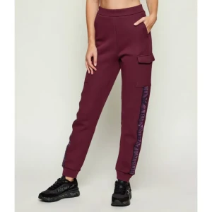 EA7 Spodnie dresowe | Regular Fit